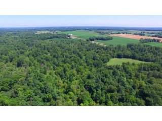 Noble County, Indiana Farmland - REAL ESTATE AUCTION - 107+/- ACRES IN 6 TRACTS IN NOBLE COUNTY, INDIANA